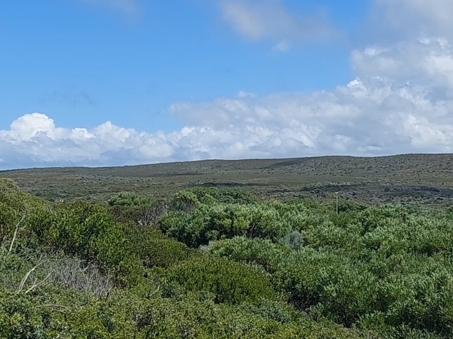 0 Bedroom Property for Sale in Agulhas Western Cape